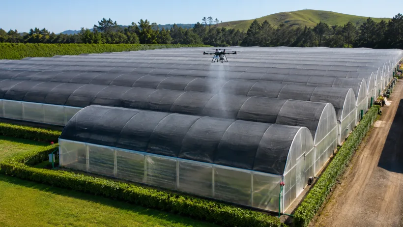 A drone applying shade coating along a greenhouse tunnel